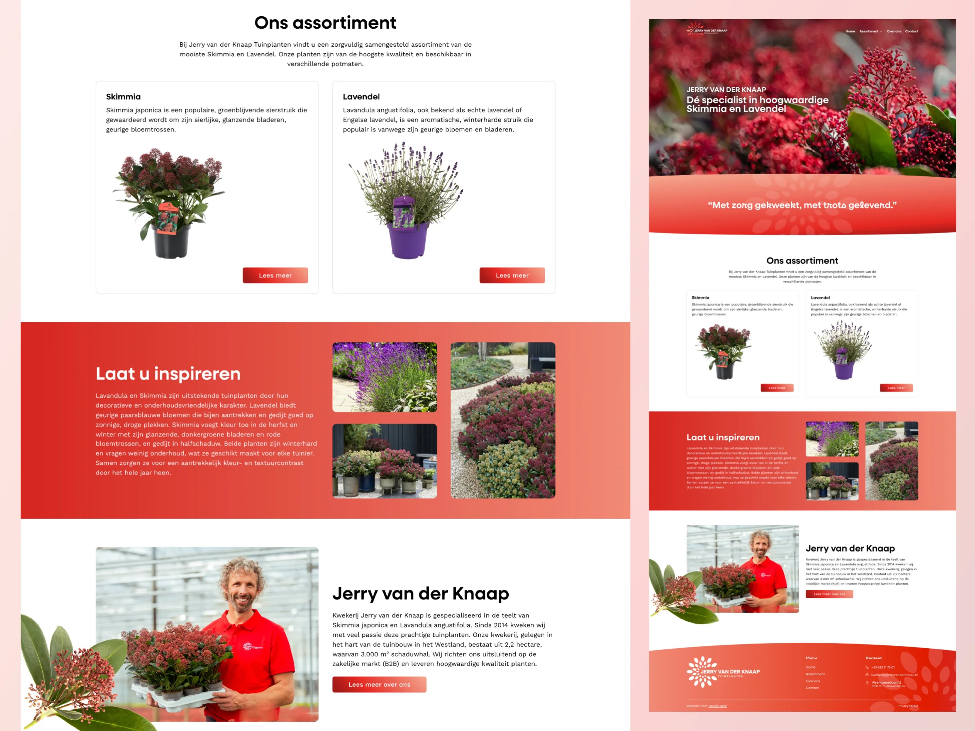 Jerry van der Knaap – visual 1