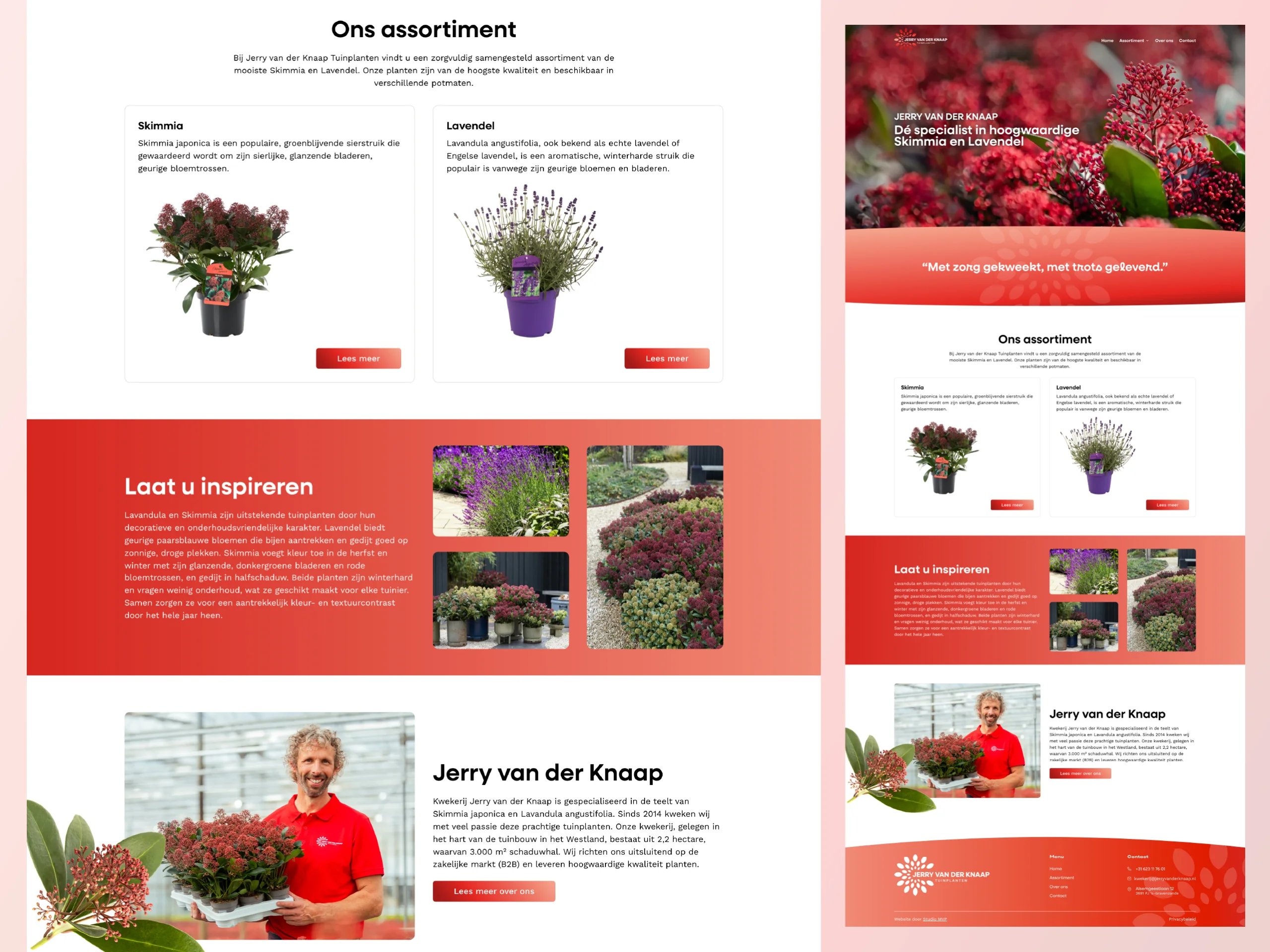 Jerry van der Knaap – visual 1