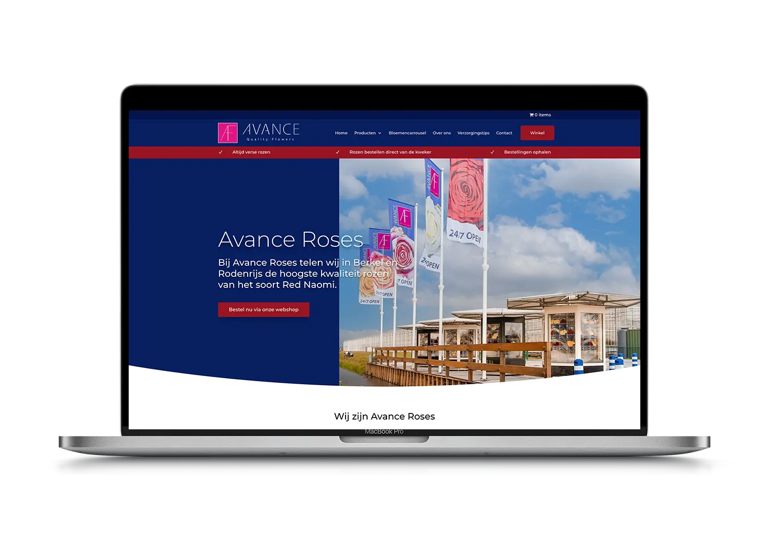 Avance Roses – mockup