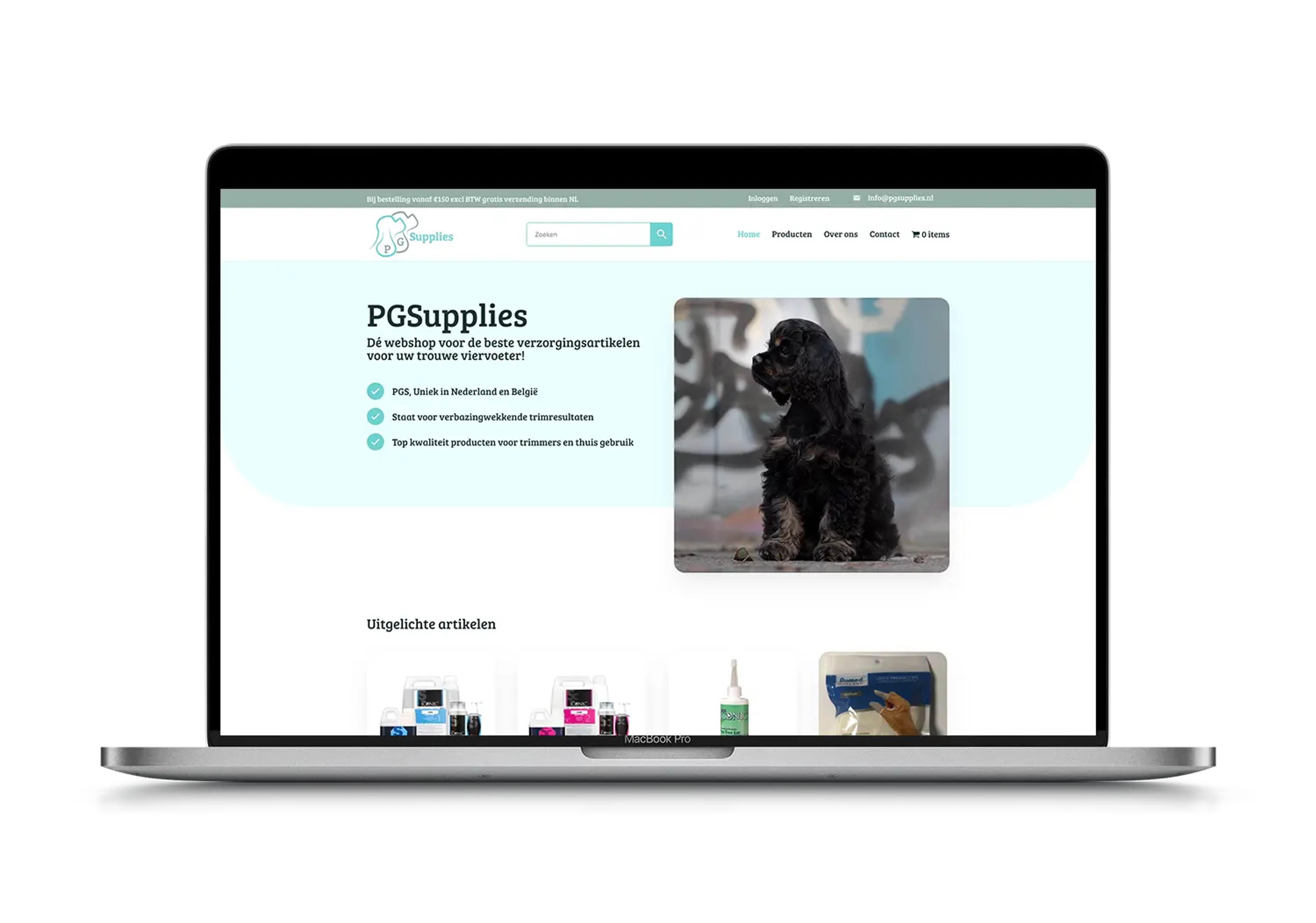 PG Supplies – mockup