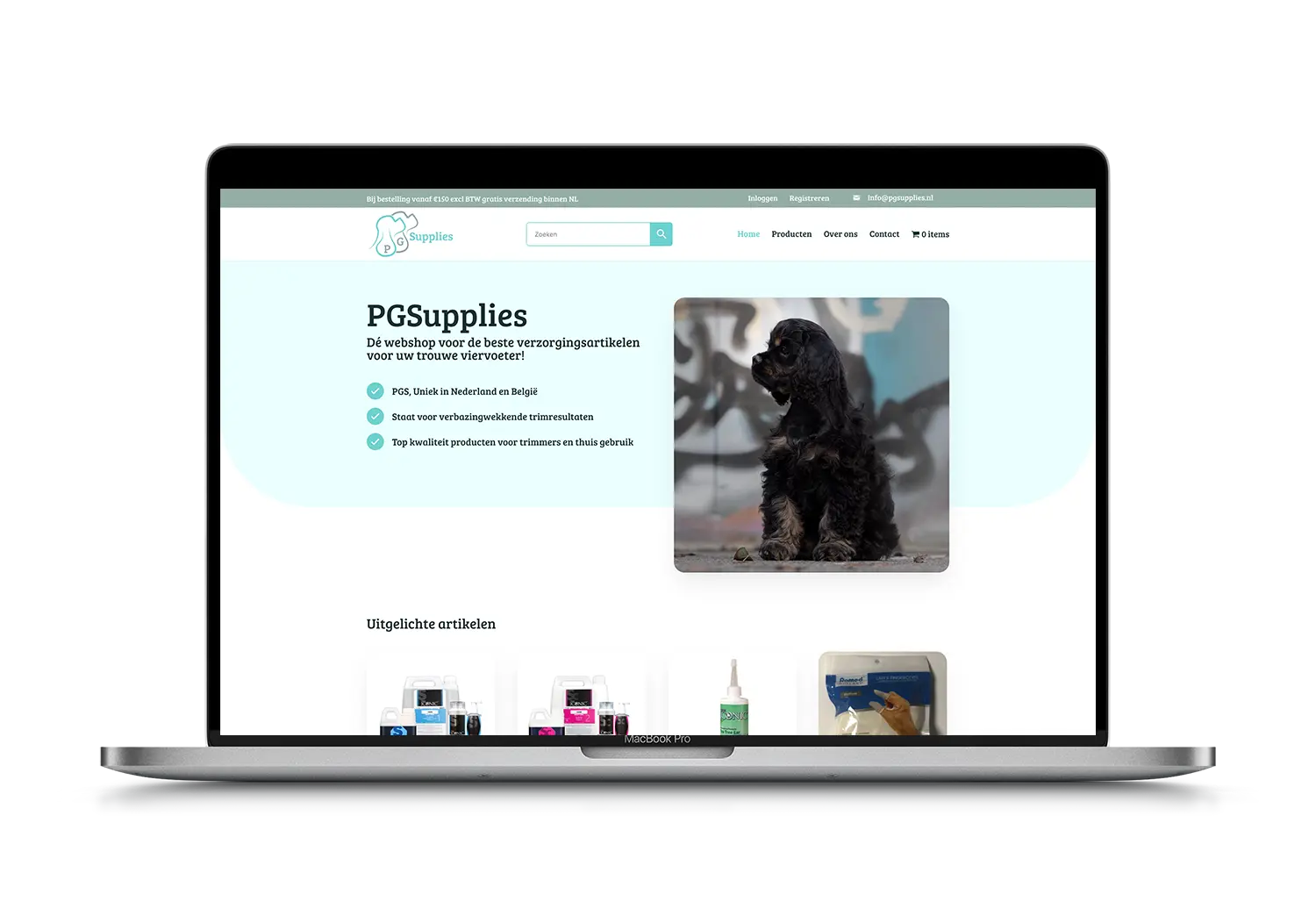 PG Supplies – mockup