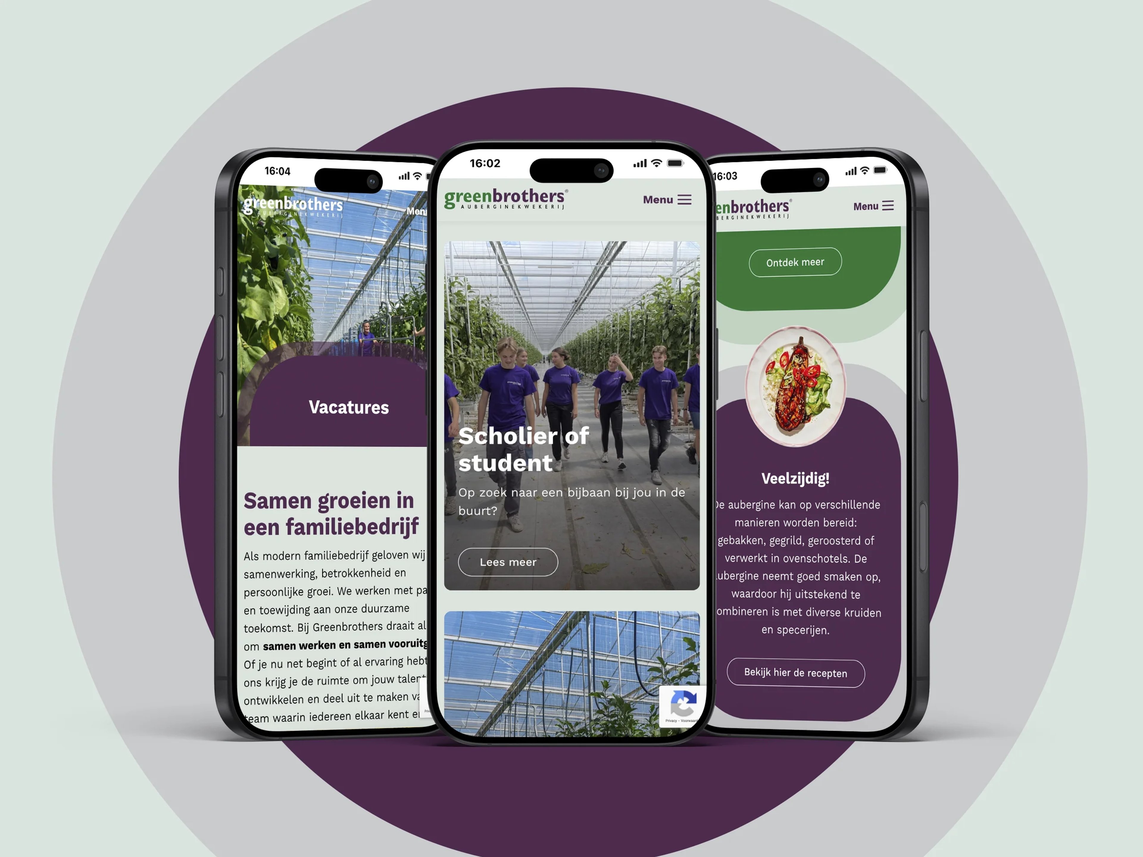 Greenbrothers – visual 2