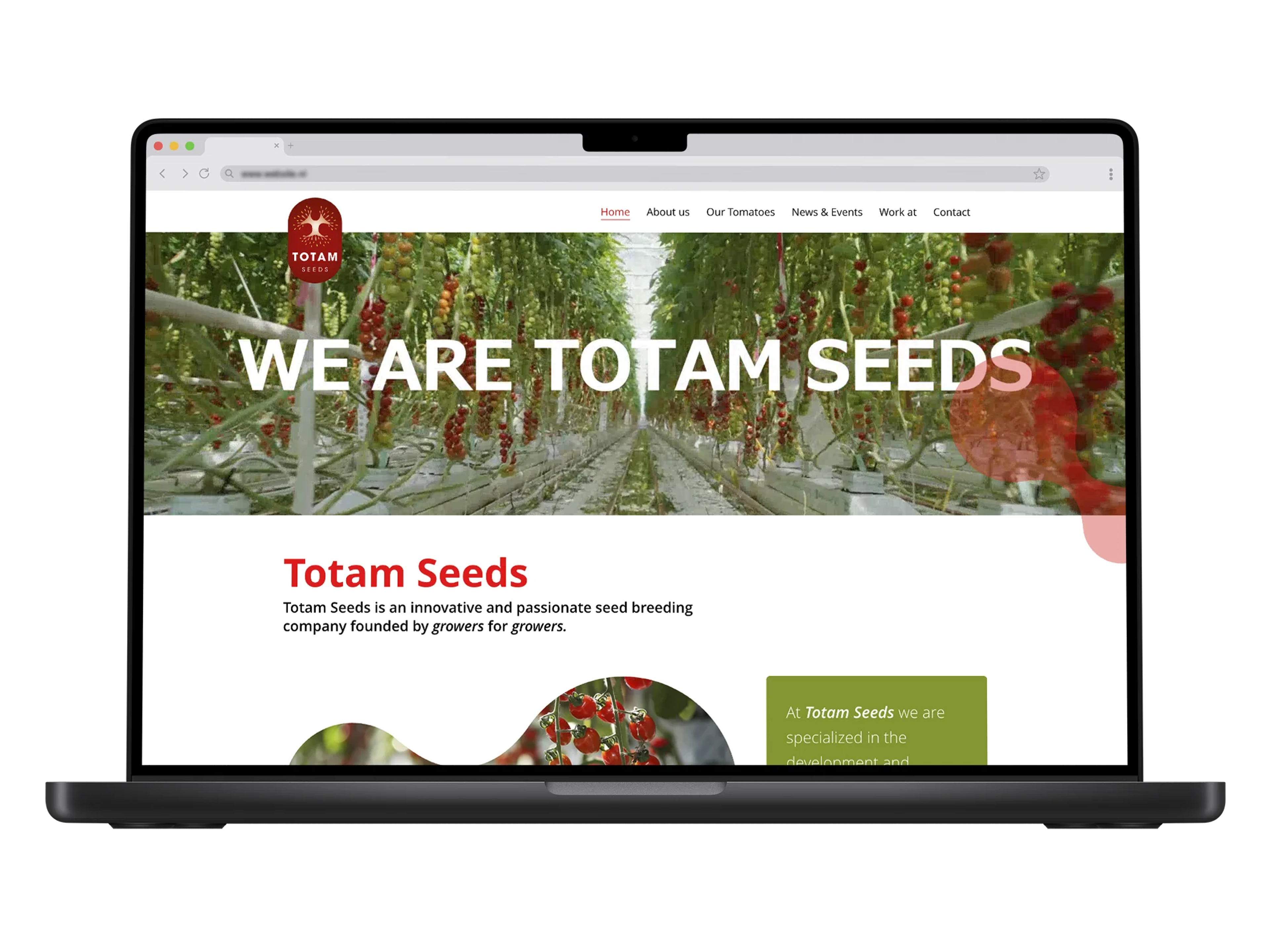Totam Seeds – mockup