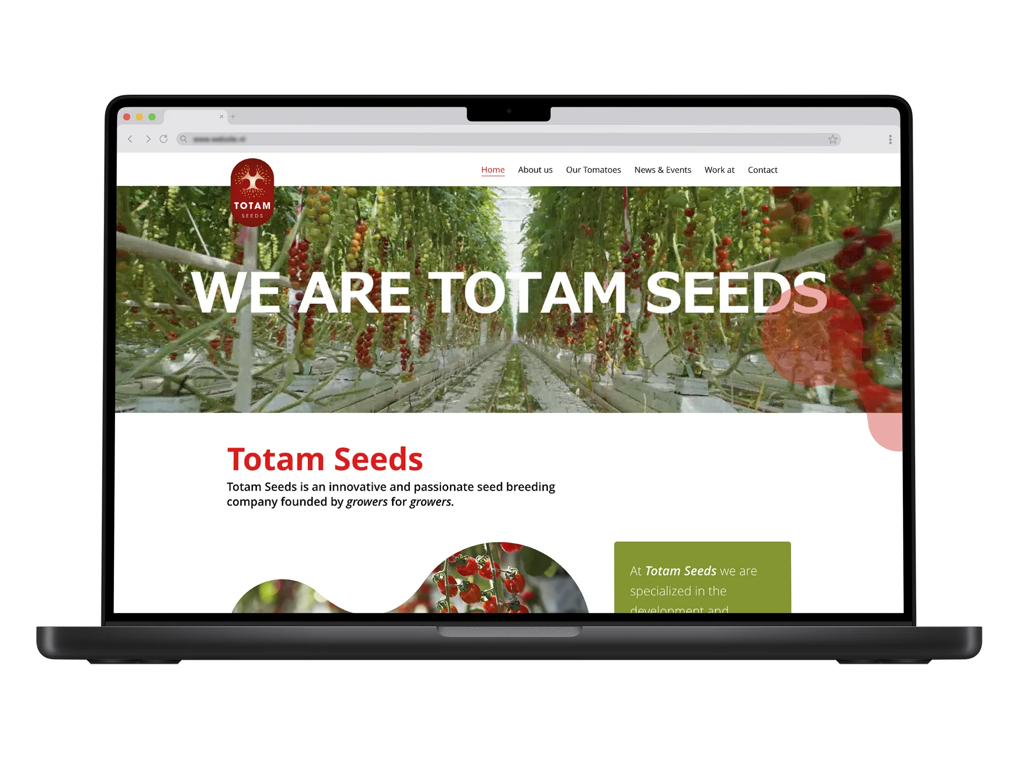 Totam Seeds – mockup