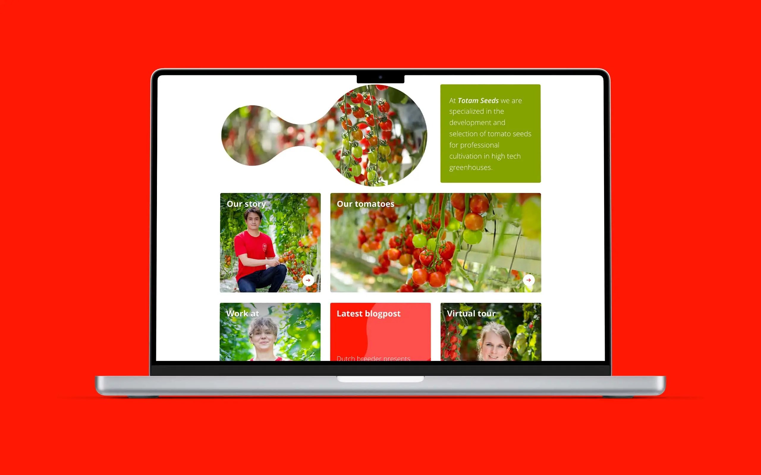 Totam Seeds – visual 3