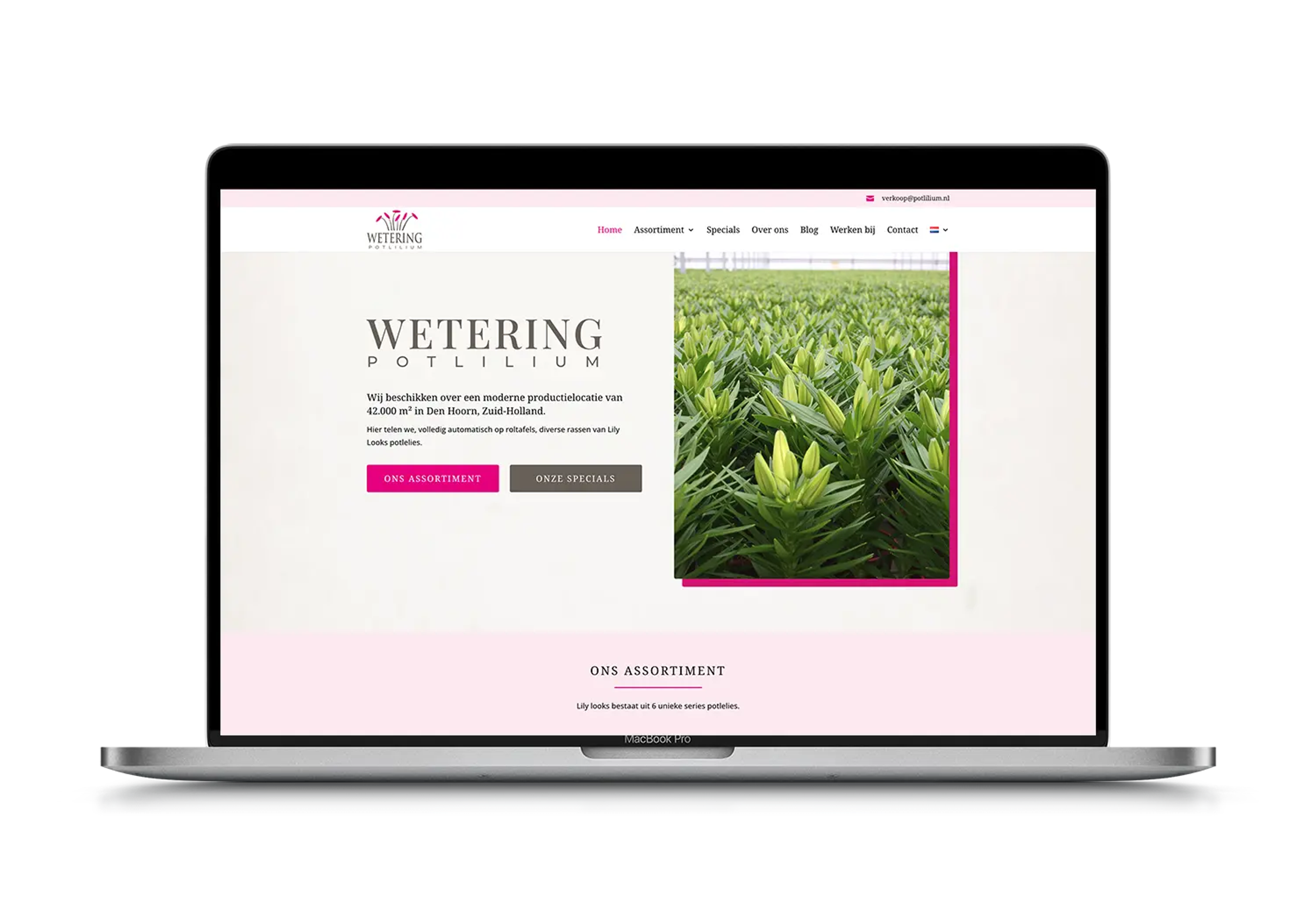 Wetering Potlilium – mockup