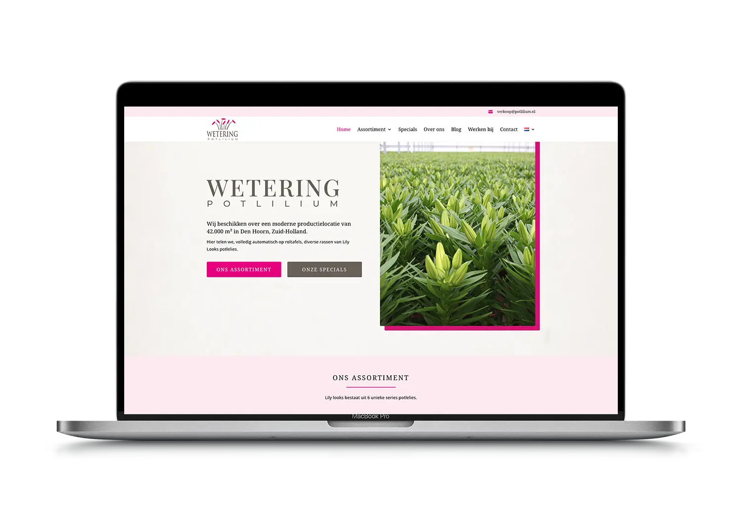 Wetering Potlilium – mockup