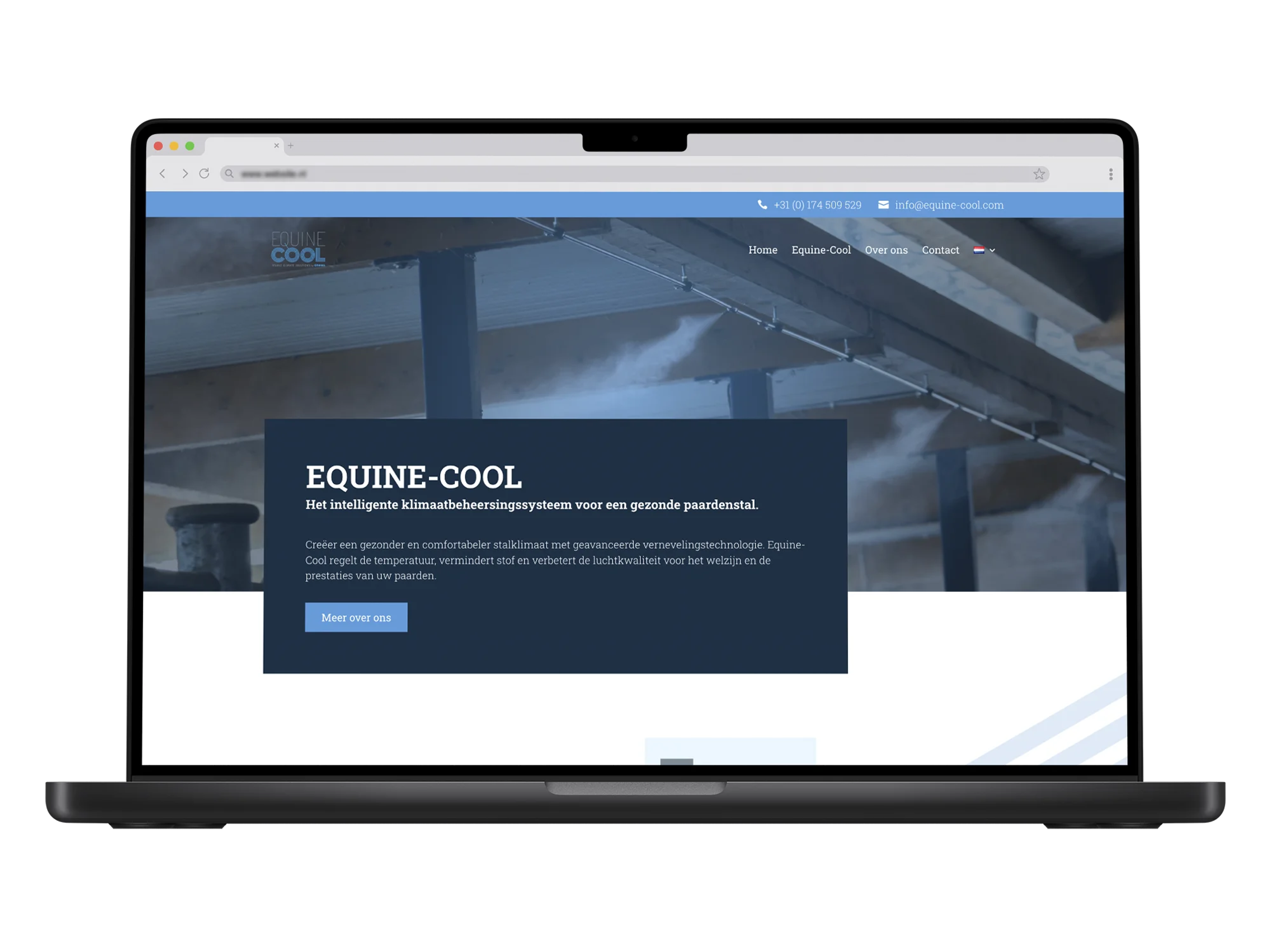 Equine Cool – mockup