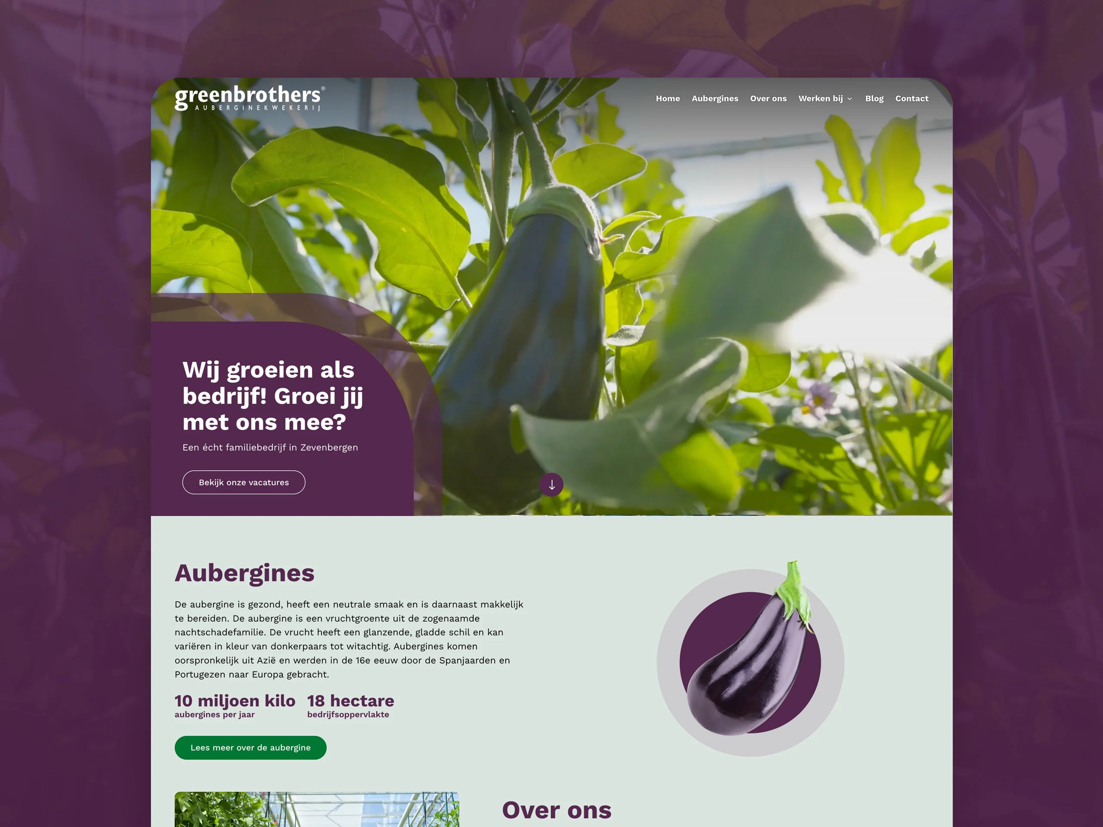 Greenbrothers – visual 1