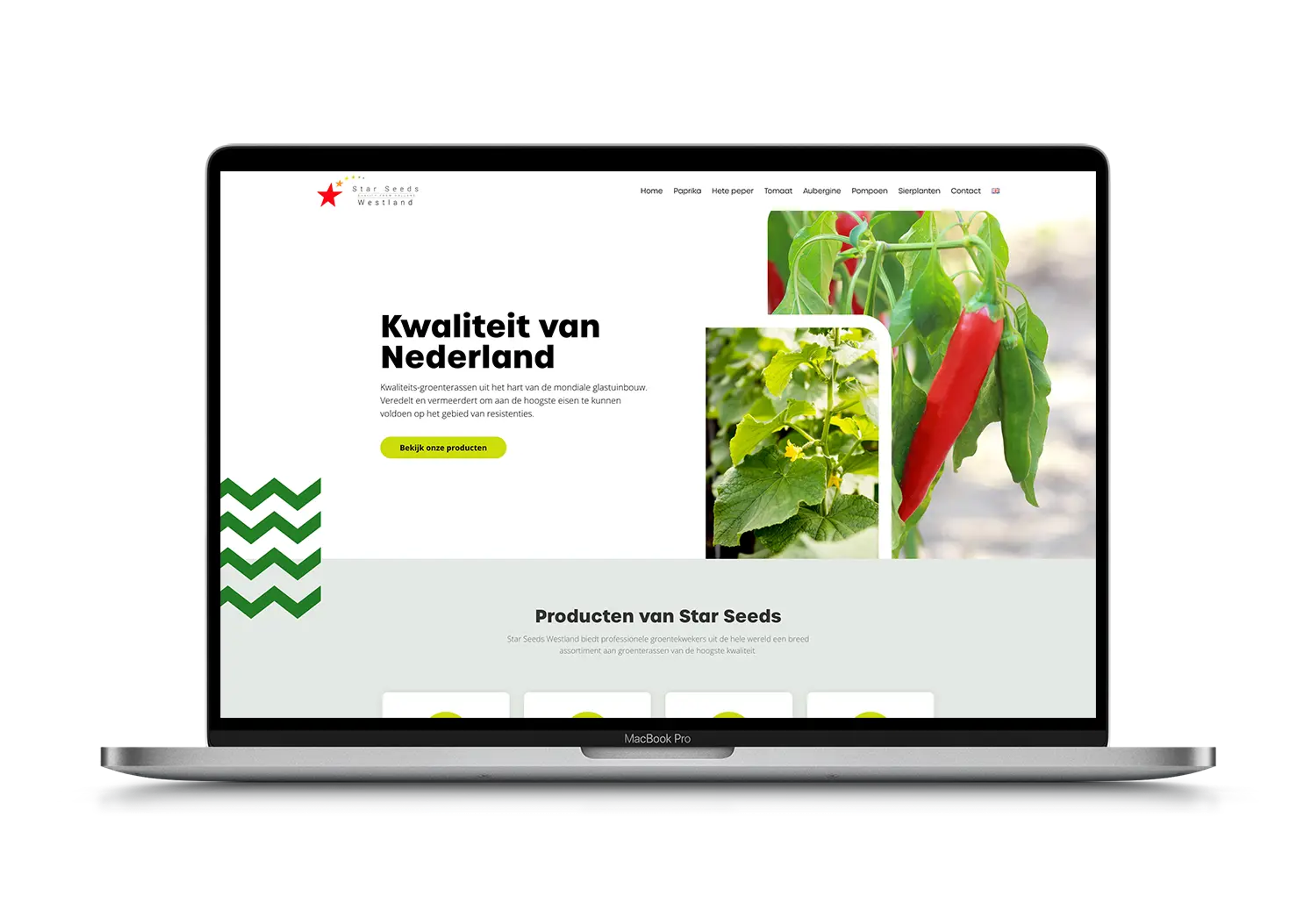 Star Seeds – mockup