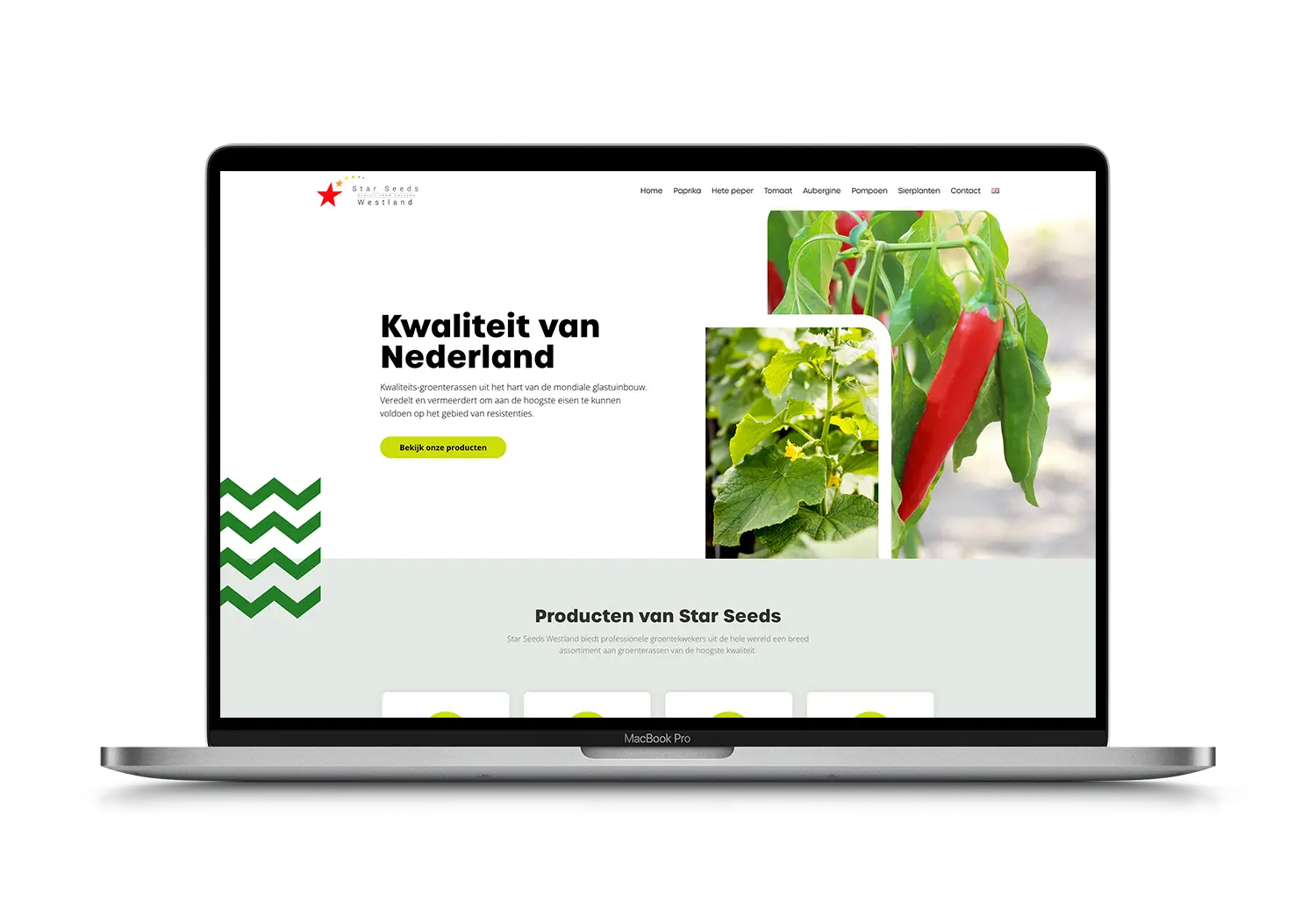 Star Seeds – mockup