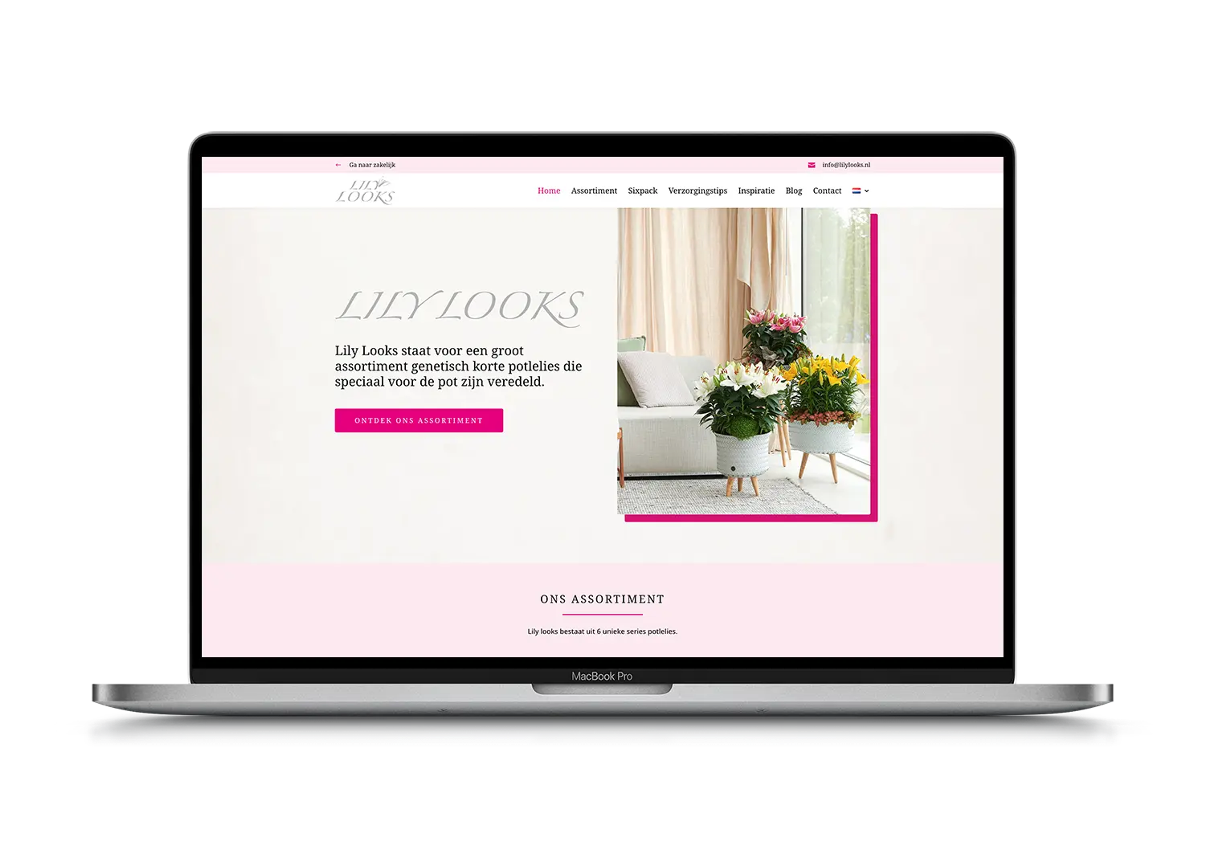 Lily Looks – mockup