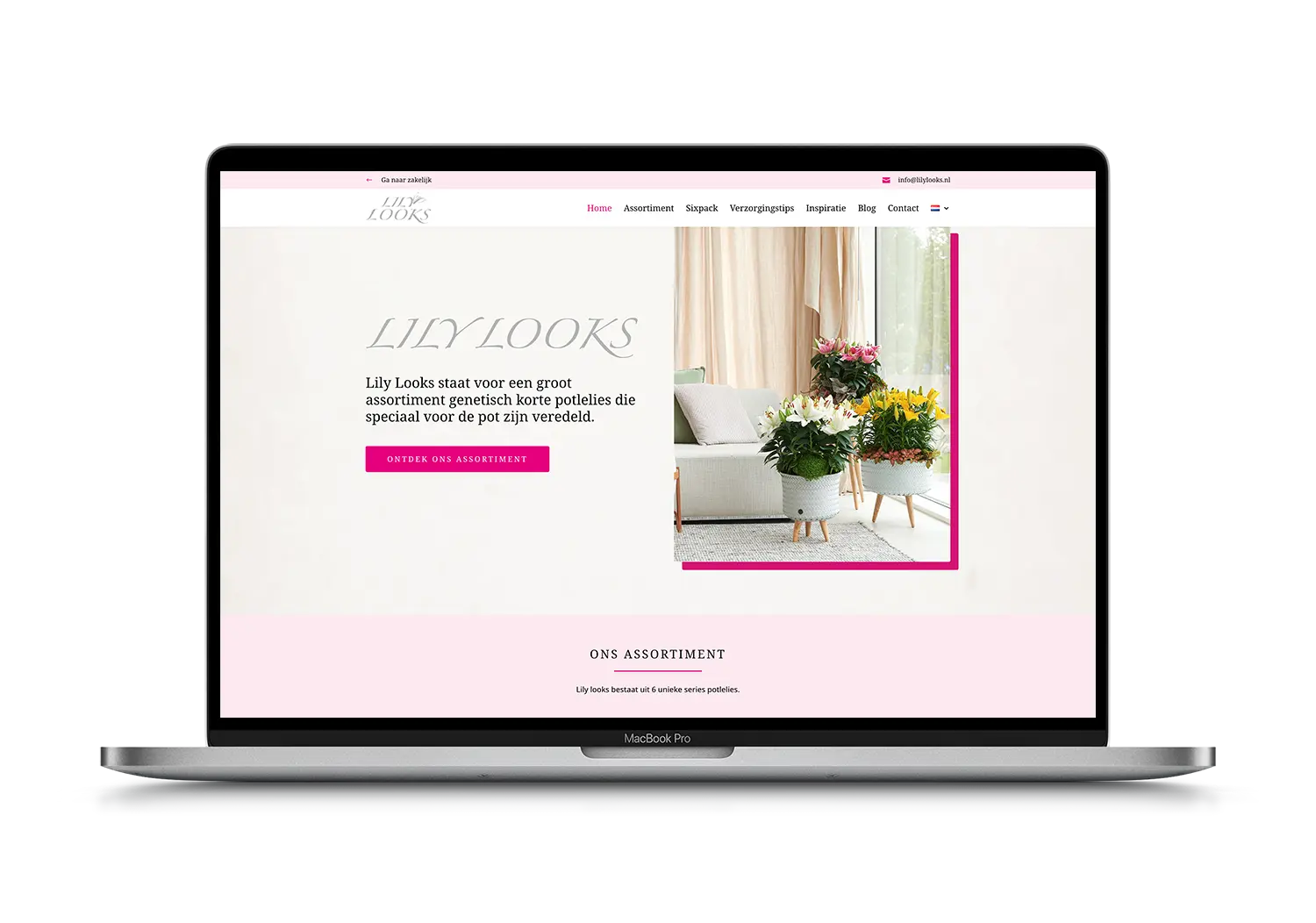 Lily Looks – mockup