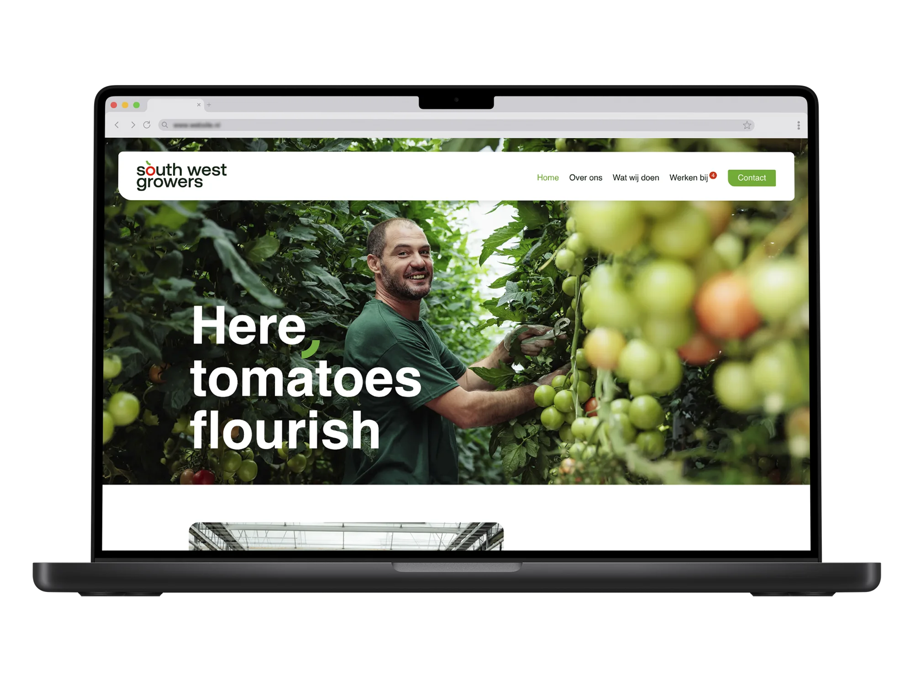 South West Growers – mockup