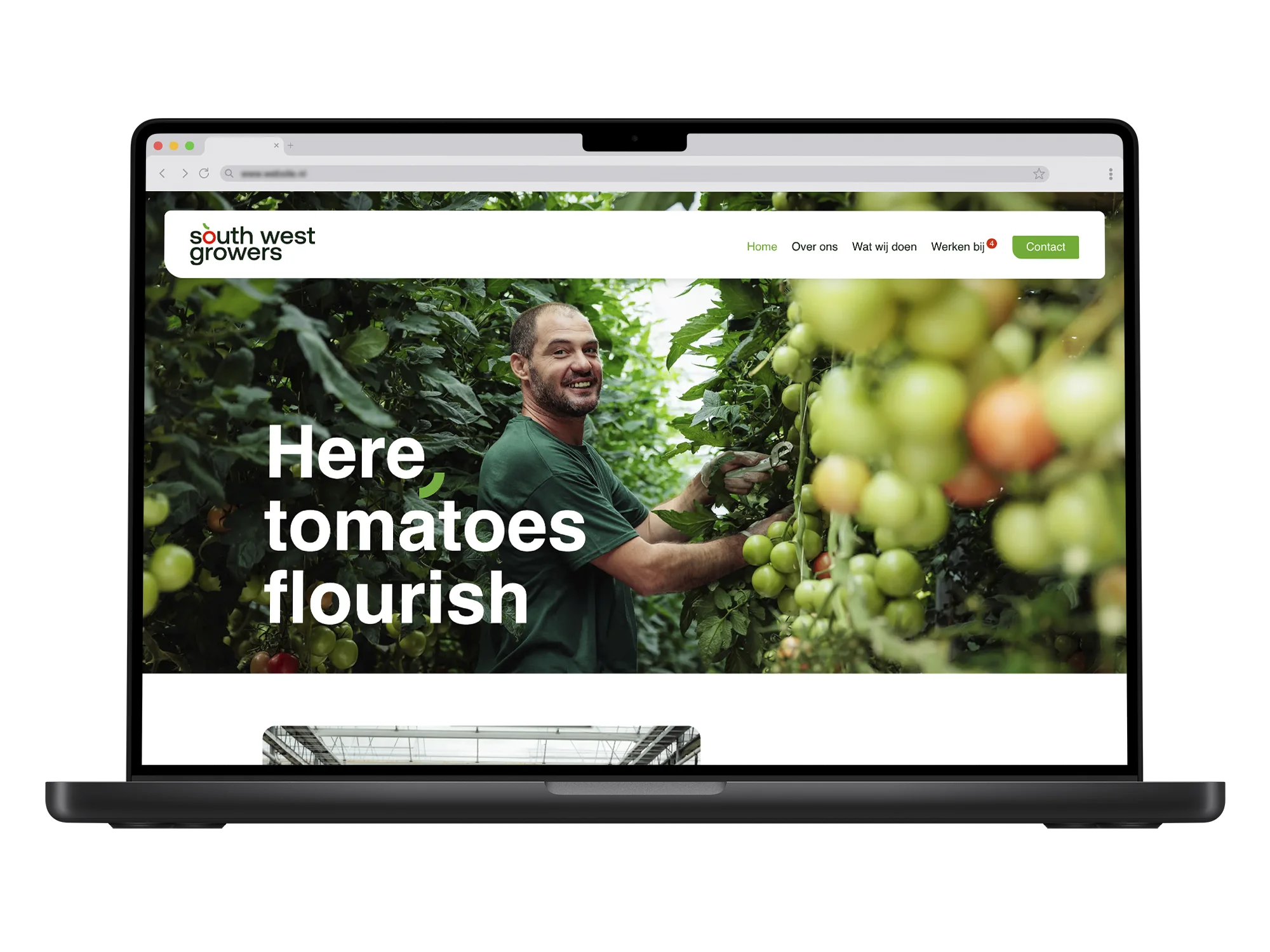 South West Growers – mockup