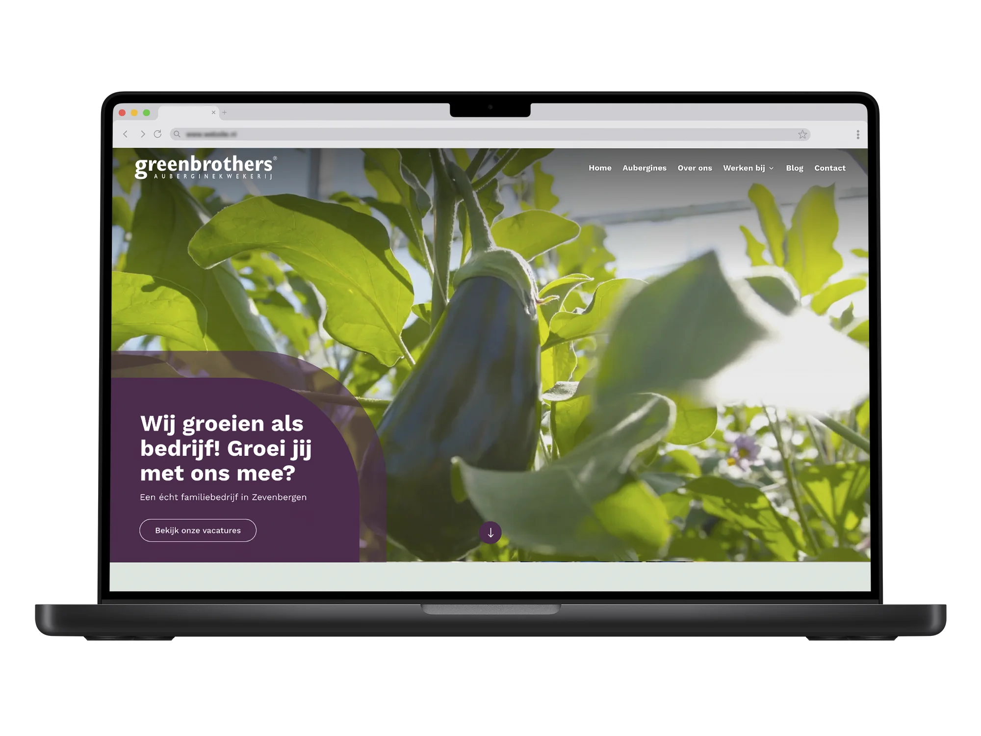 Greenbrothers – mockup