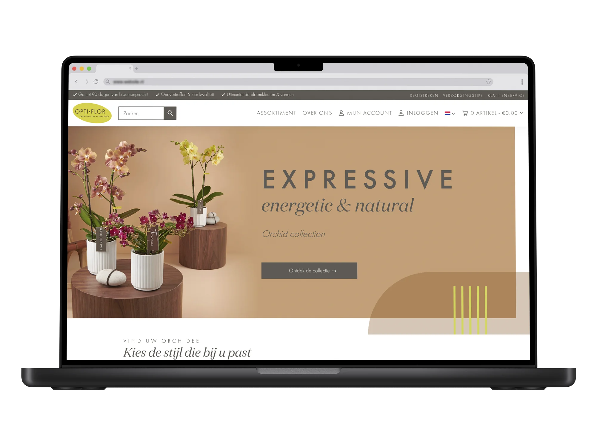 Opti-flor – mockup
