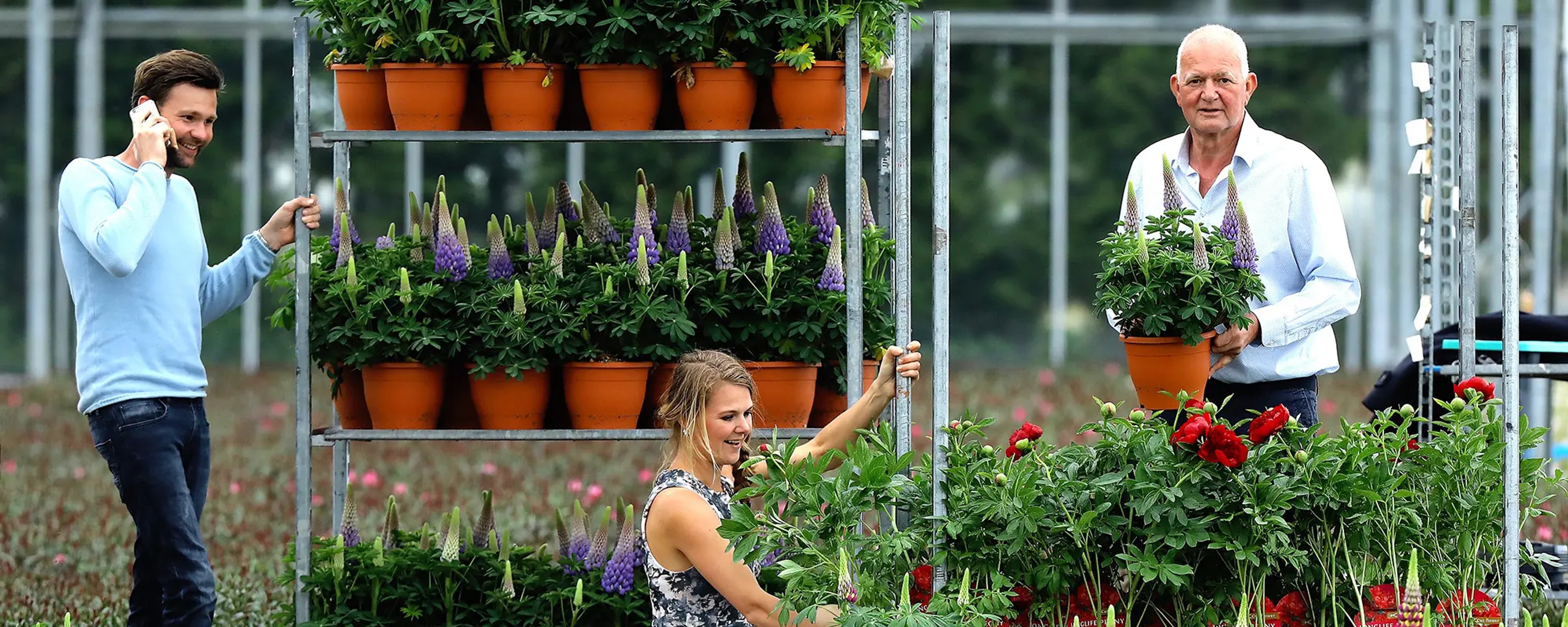 Van der Sar Plants – header