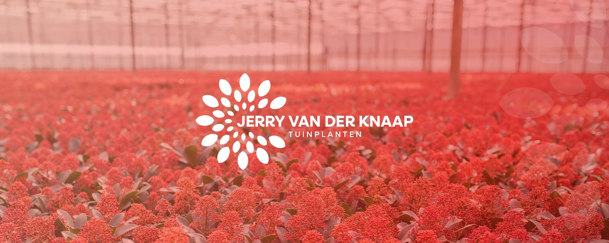 Jerry van der Knaap – header