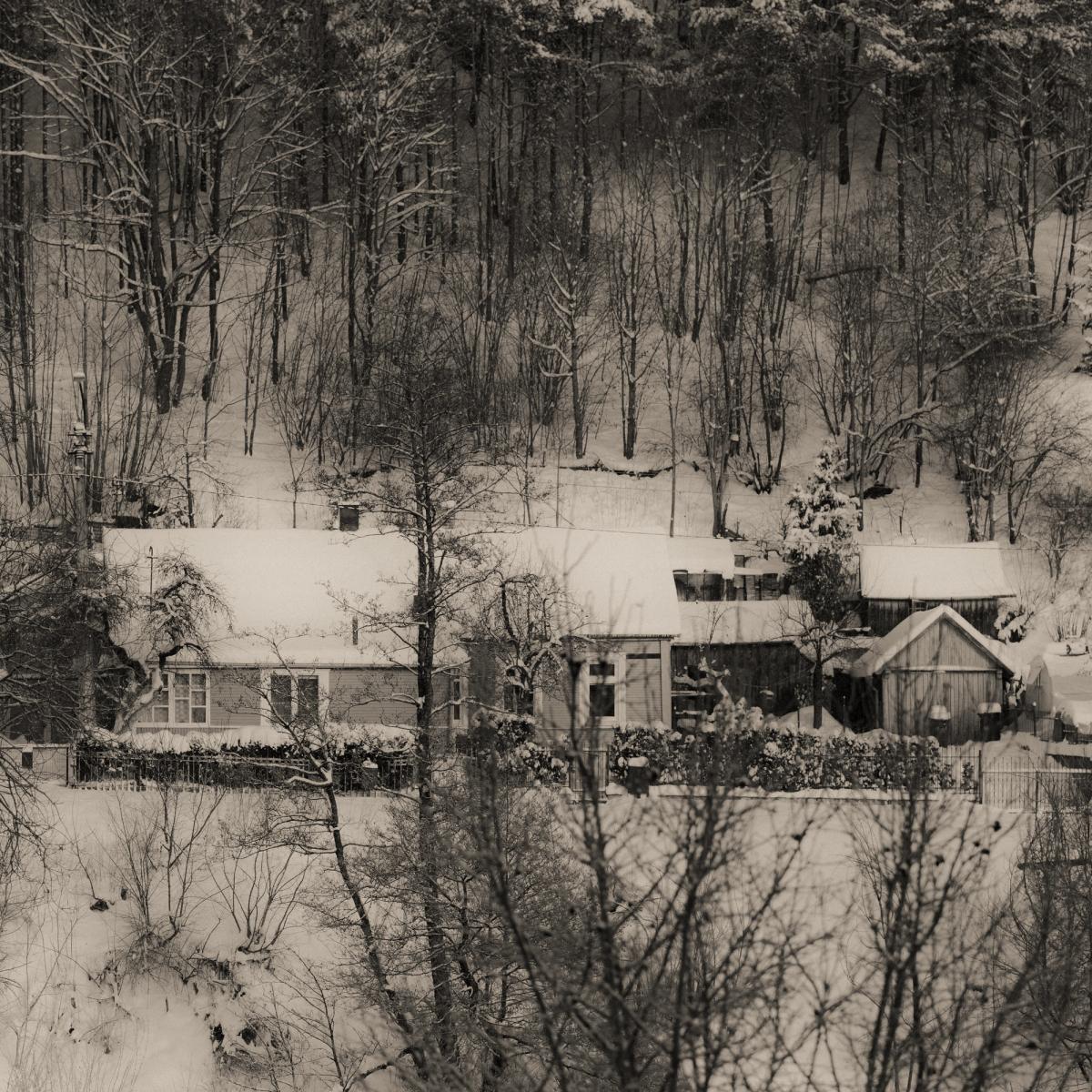 Photo by Kotryna Misiūnė