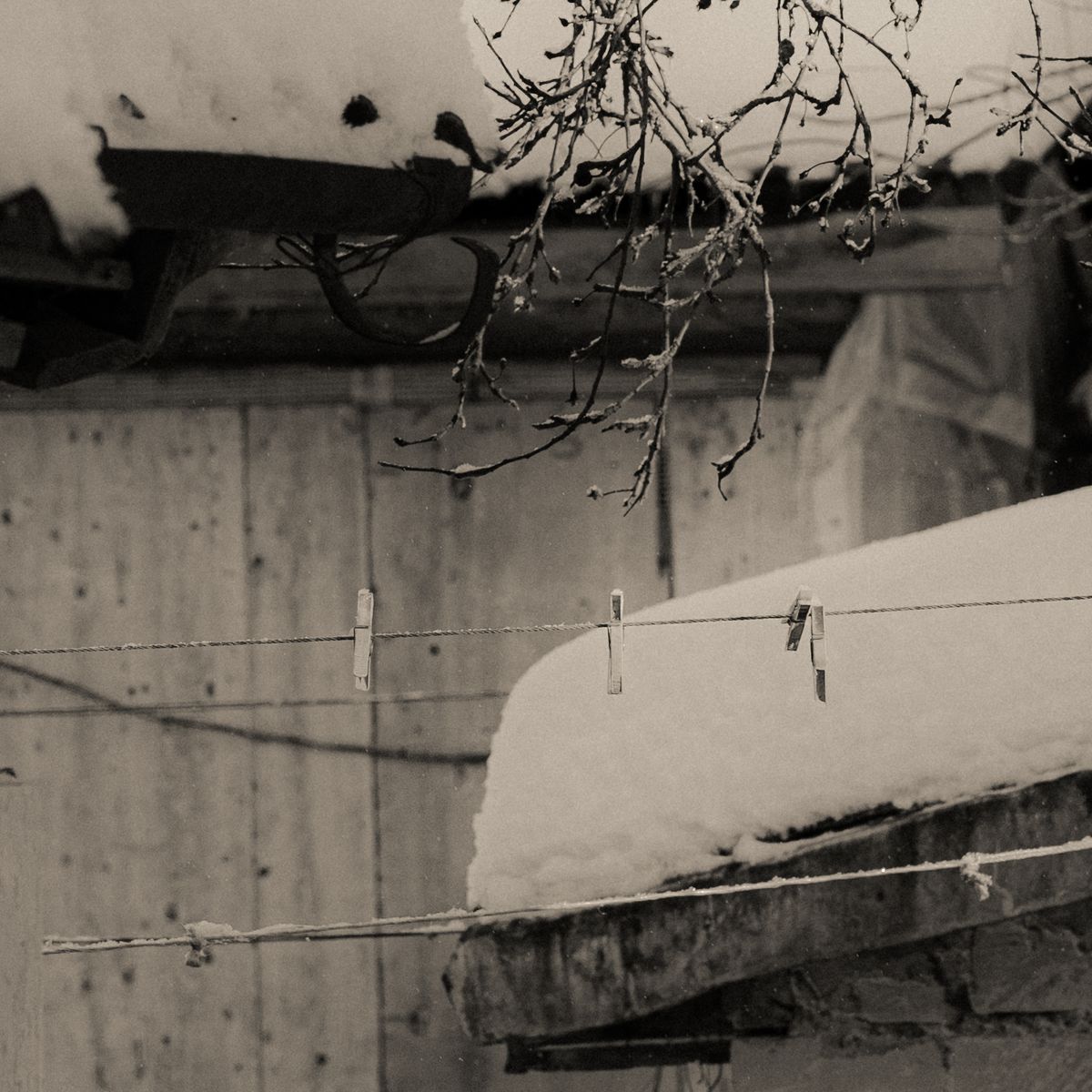 Photo by Kotryna Misiūnė