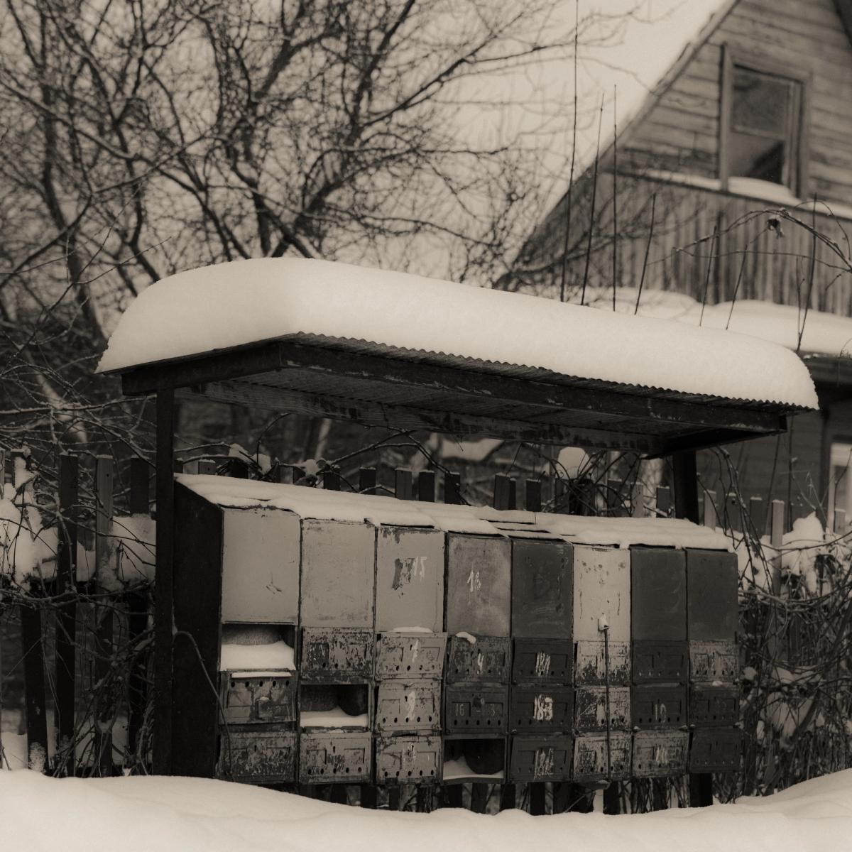 Photo by Kotryna Misiūnė