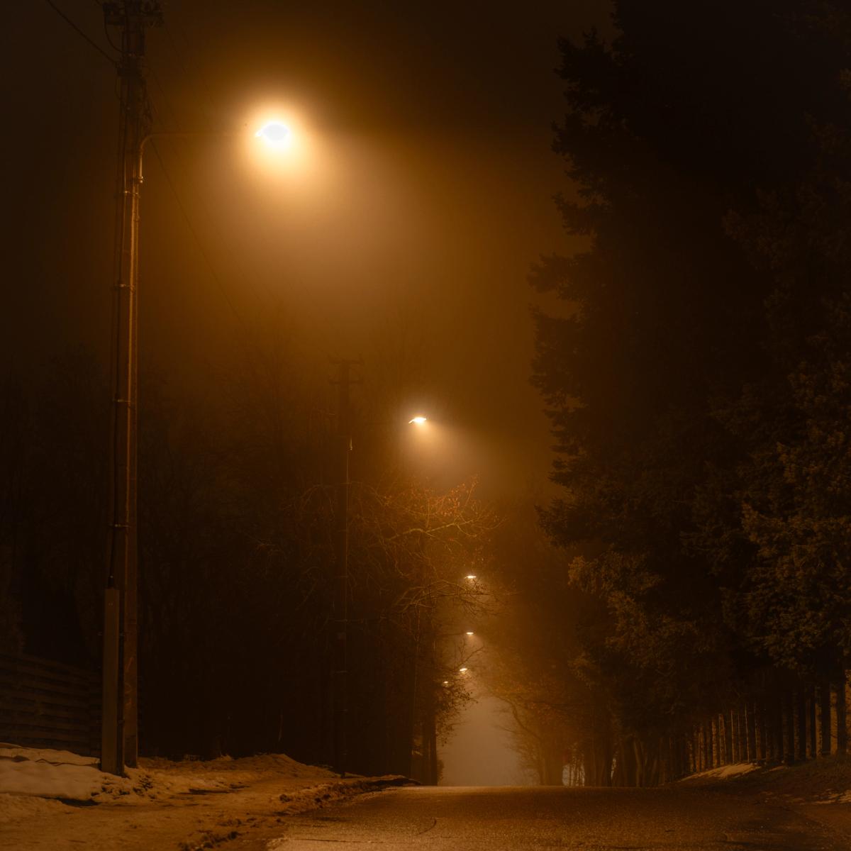 Photo by Kotryna Misiūnė