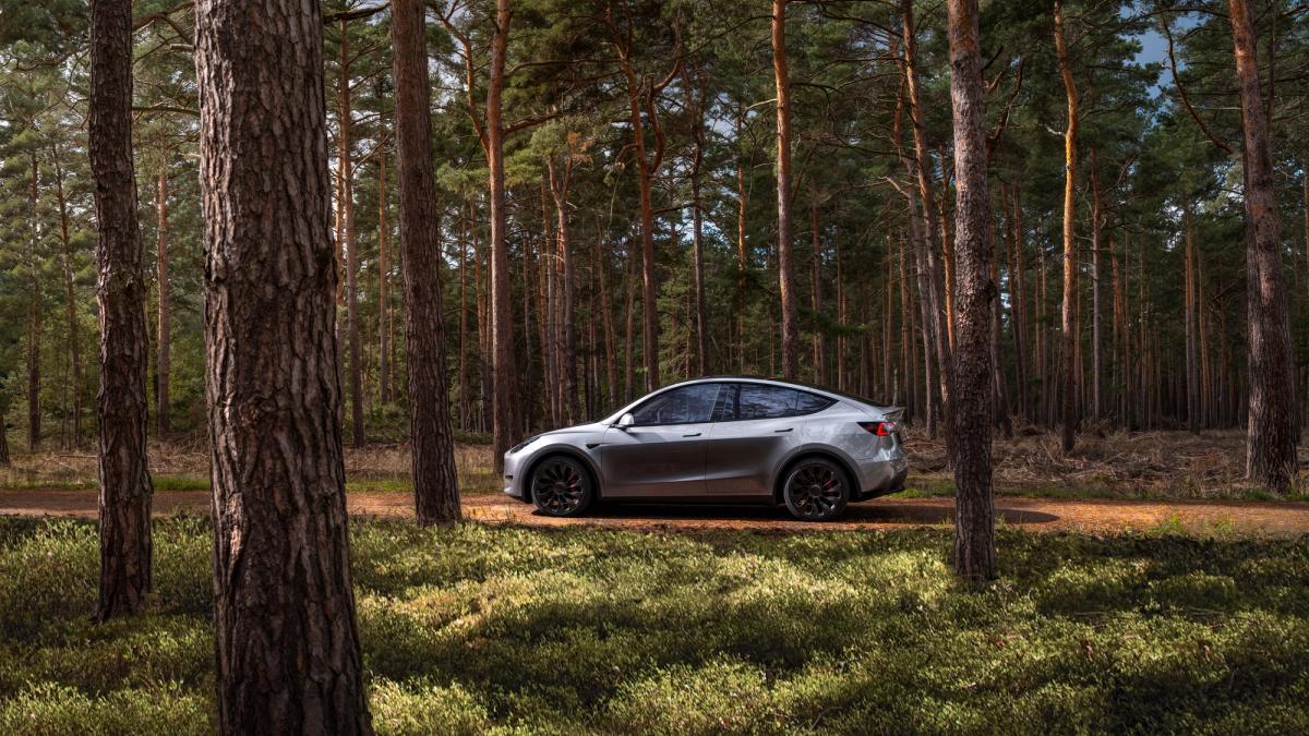 How to Get a Used Tesla Model Y—And Save Big Doing It