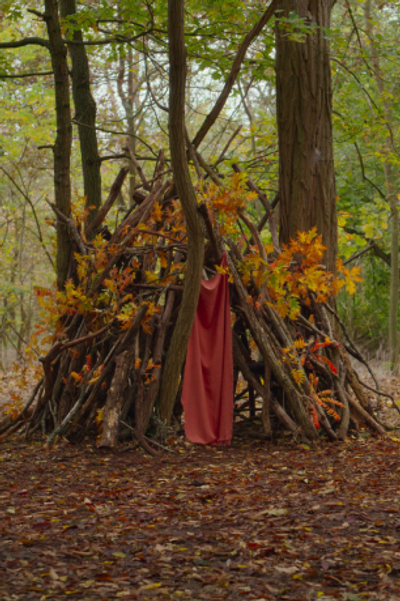 A fort made of branches in the woods