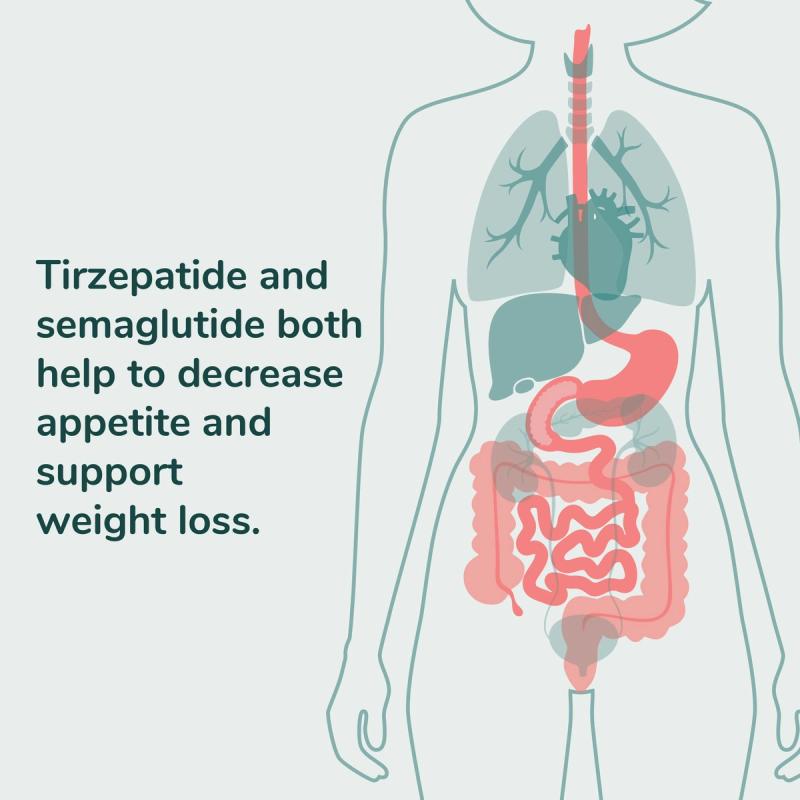 Illustration of Body. Tirzepatide and semaglutide both help to decrease appetite and support weight loss.