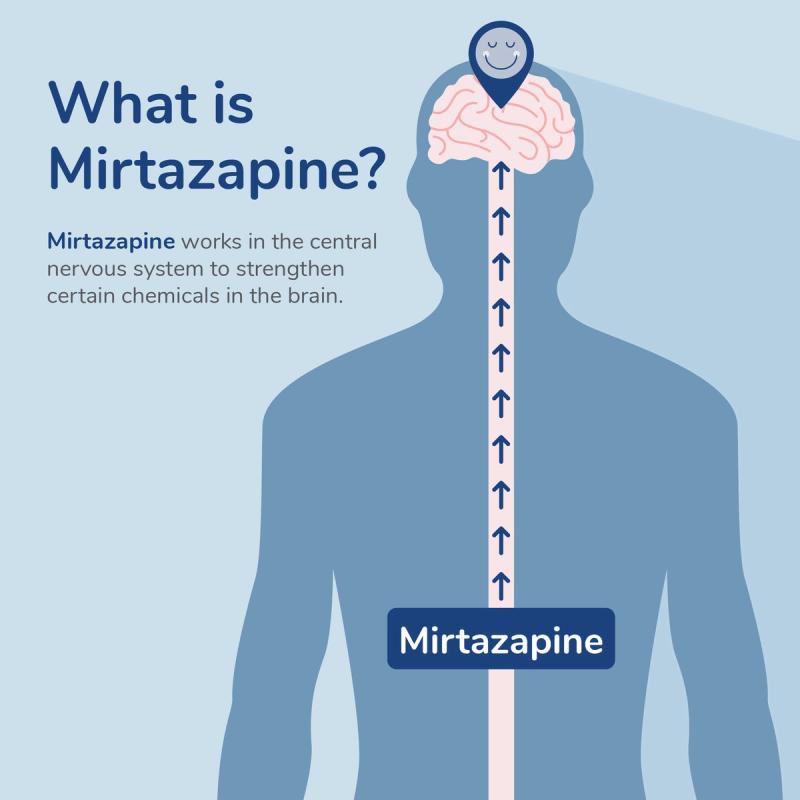 Illustration of Mirtazapine Working in the Central Nervous System to Strengthen Certain Chemicals in the Brain