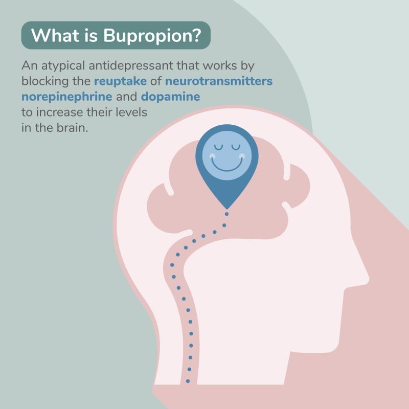 Illustration of How Bupropion Functions in the Brain