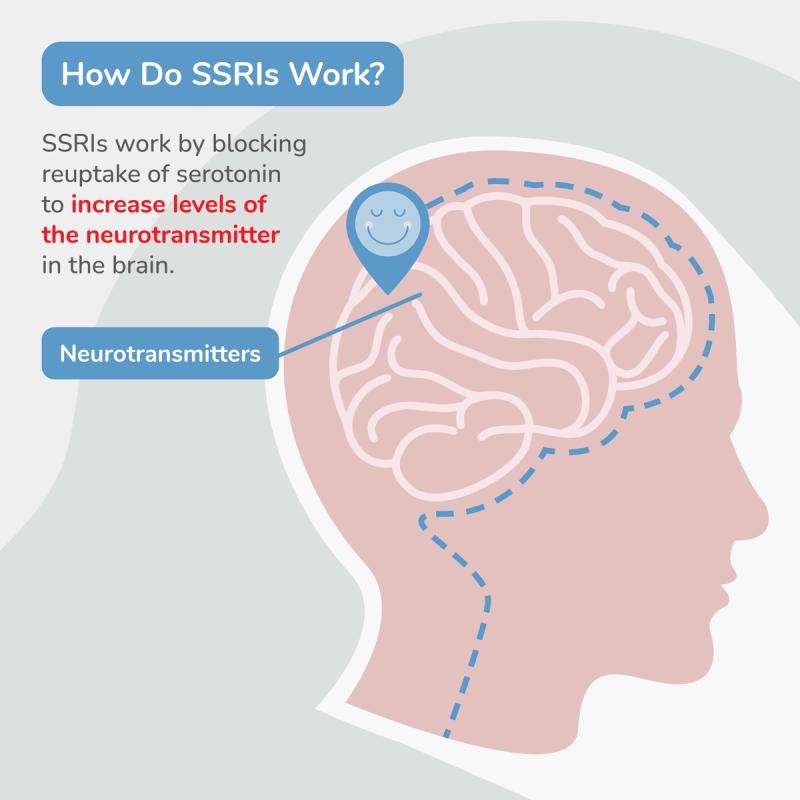 Illustration Describing How SSRIs Work. SSRIs Work by Blocking Reuptake of Serotonin to Increase Levels of the Neurotransmitter in the Brain.