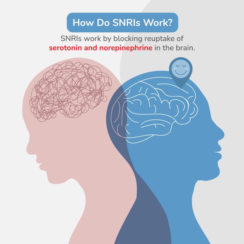 Illustration Describing How SNRIs Work. SNRIs Work by Blocking Reuptake of Serotonin and Norepinephrine in the Brain.