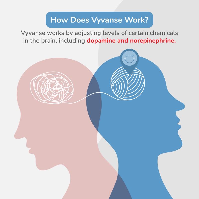 Illustration of How Vyvanse Works. Vyvanse Works By Adjusting Levels of Certain Chemicals In The Brain, Including Dopamine and Norepinephrine.