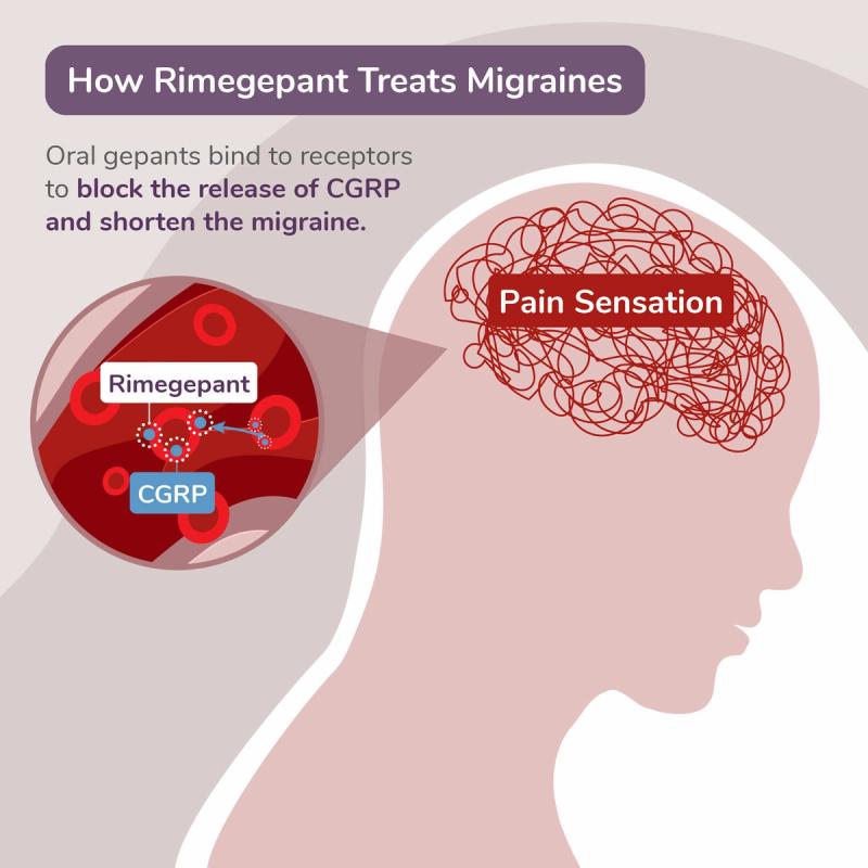 Illustration of How Rimegepant Treats Migraines. Oral Gepants Bind to Receptors to Block the Release of CGRP and Shorten the Migraine.