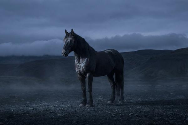 Praus: The Warhorse in the room