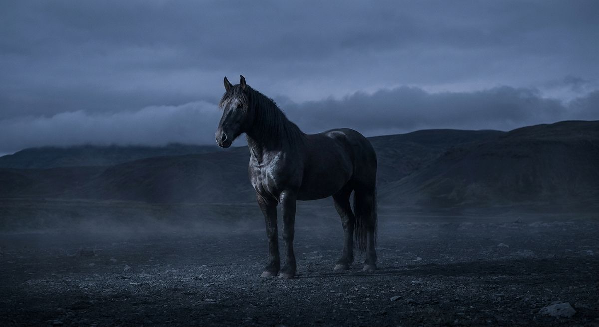 Praus: The Warhorse in the room
