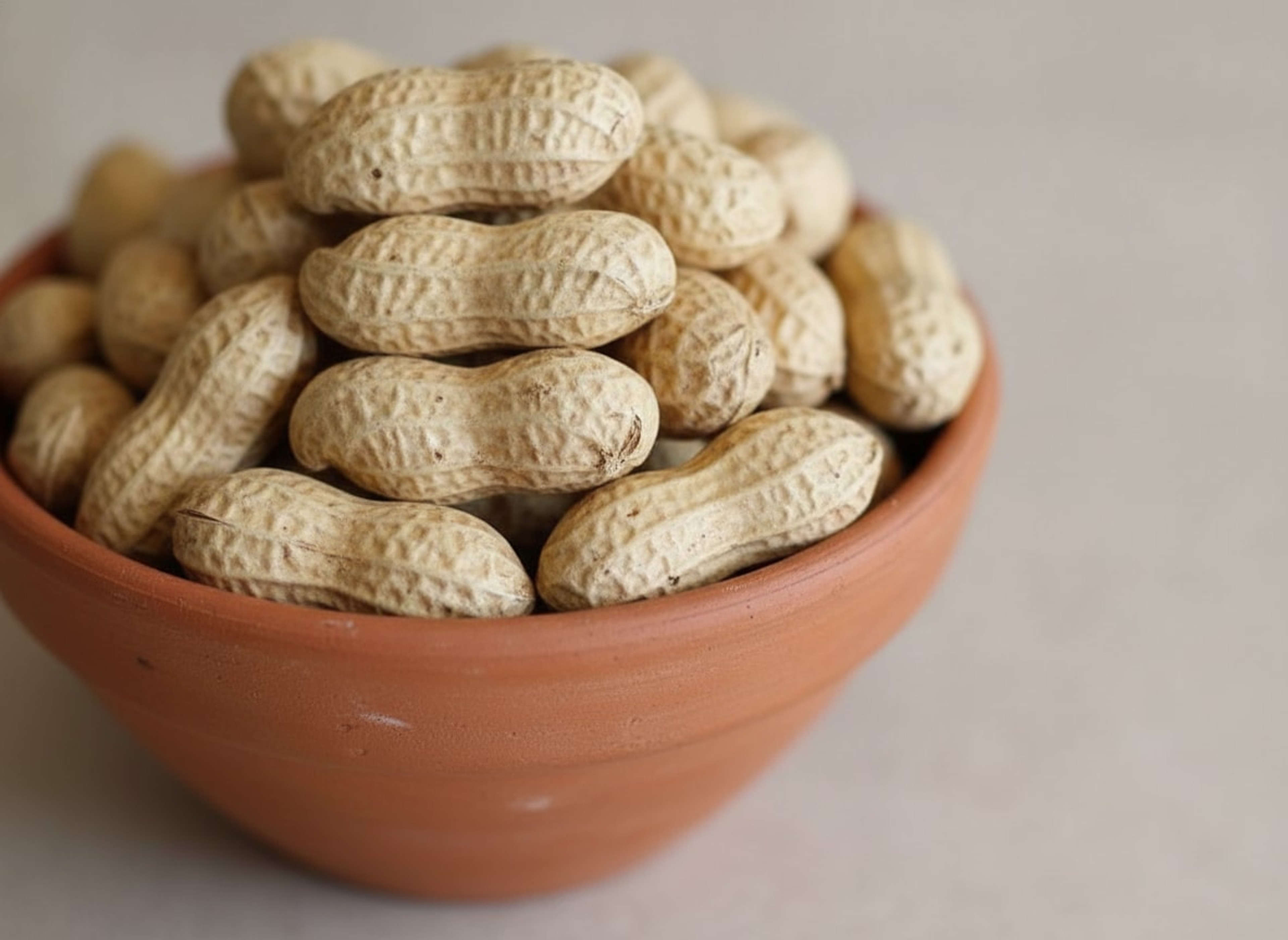 Raw Groundnut in Shell – Close-up