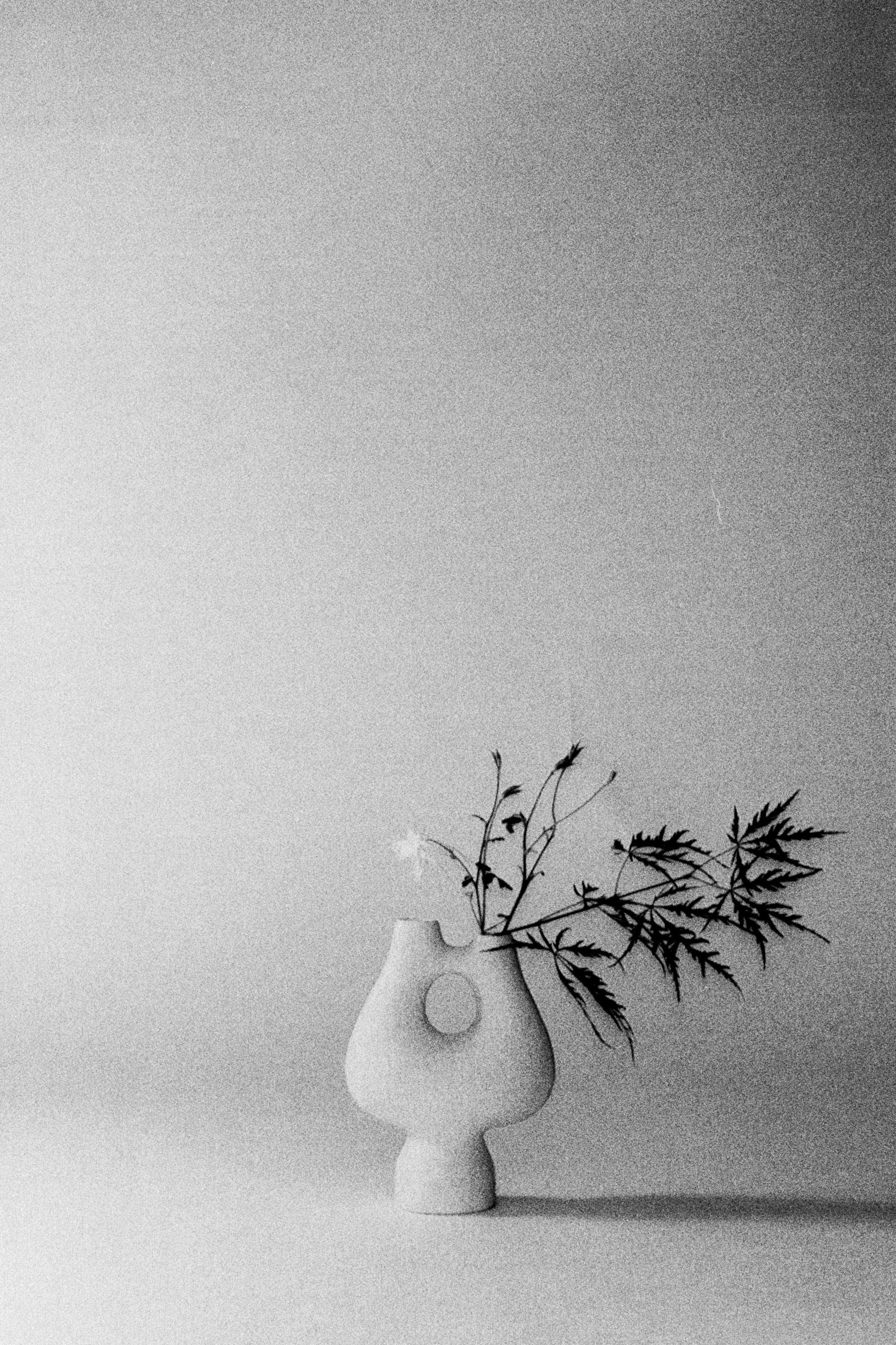 Più Bridge Handled Vessel