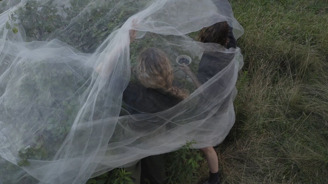 A Conversation with Alex Crowder of Field Studies Flora