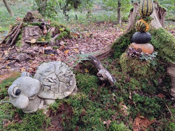 Märliwald im Herbst 2024