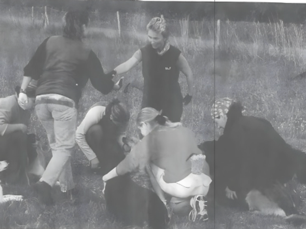 "Fleissige Hunde als Hauptdarsteller" 2006