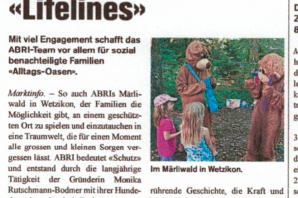 "ABRI Benefizkonzert Lifelines" Oberseen Nachrichten 2016