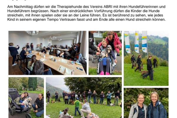 Die Stiftung Kifa berichtet über den Besuch der Therapiehunde