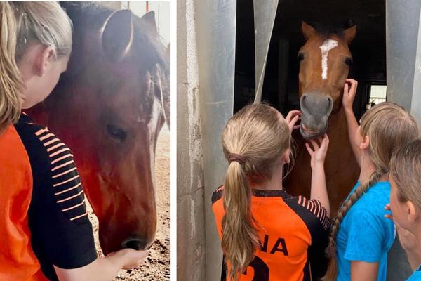 Besuch bei Harry und seiner Pferdeherde. Berührende Momente für alle.