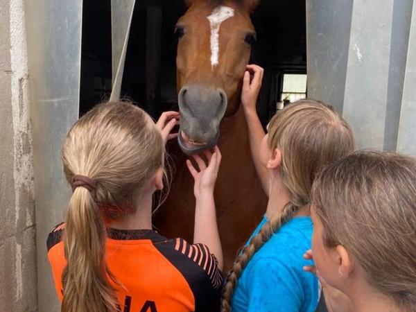 Zu Besuch bei unserem Harry 2023