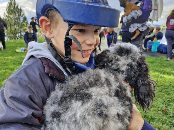 "Die Kinder reagieren auf die Therapiehunde unglaublich eindrucksvoll" Zuger Woche 2024