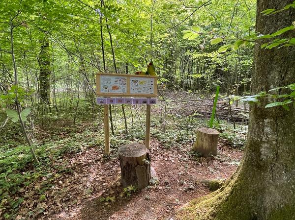 Neues im Märliwald entdecken