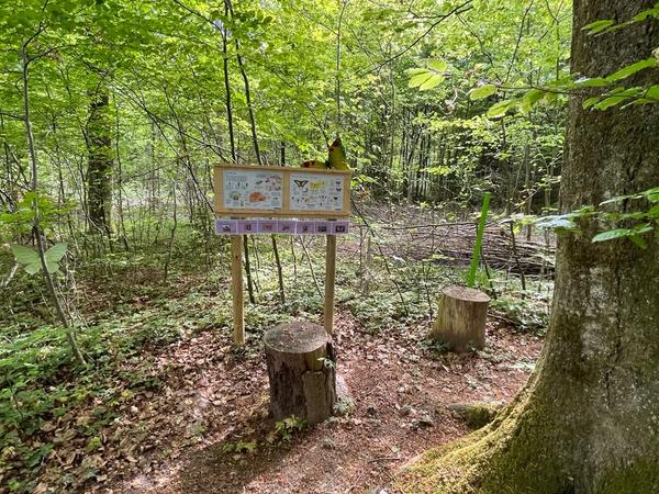 Neues im Märliwald entdecken